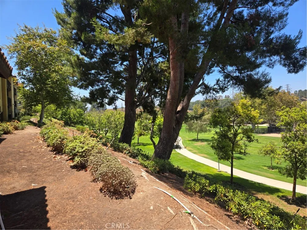 25551 Indian Hill Lane #C Laguna Hills, CA 92653