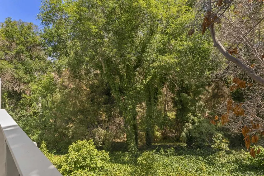 3118 Via De Caballo Other, CA 92024