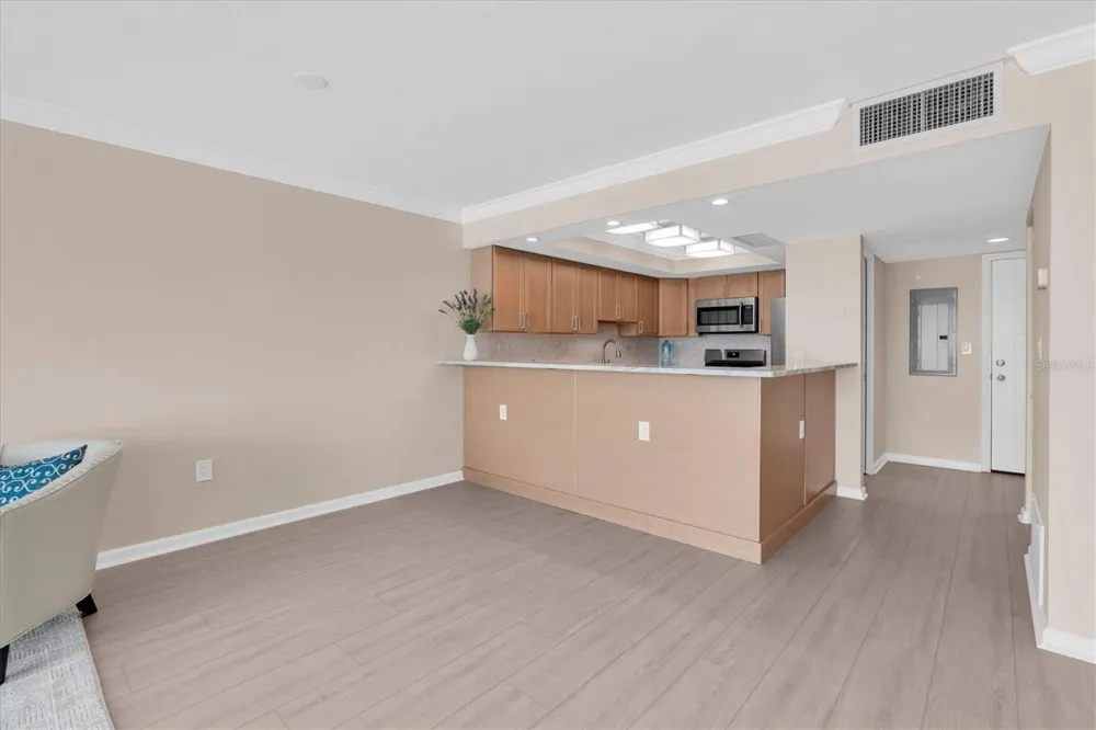 450 TREASURE ISLAND CAUSEWAY #102 Treasure Island, FL 33706
