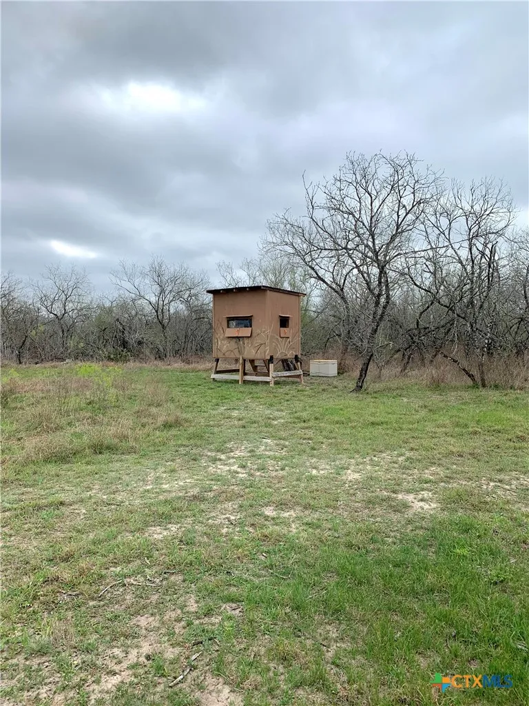 Pierce Road Goliad, TX 77963