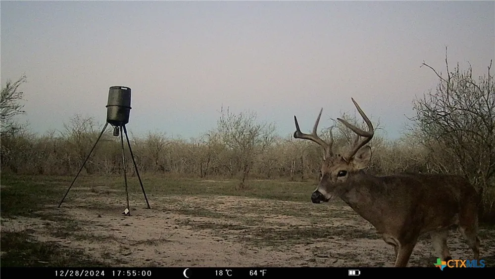 Pierce Road Goliad, TX 77963