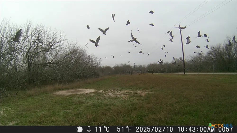 Pierce Road Goliad, TX 77963