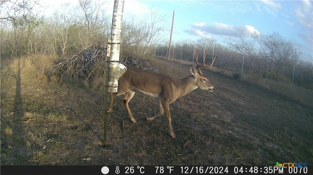 Pierce Road Goliad, TX 77963