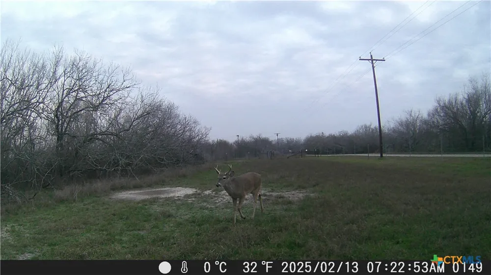 Pierce Road Goliad, TX 77963