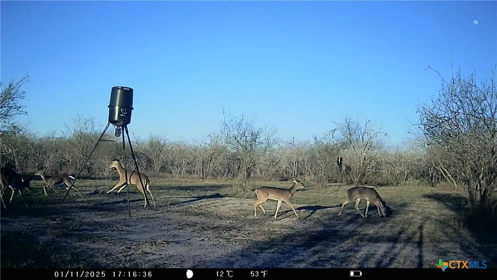 Pierce Road Goliad, TX 77963