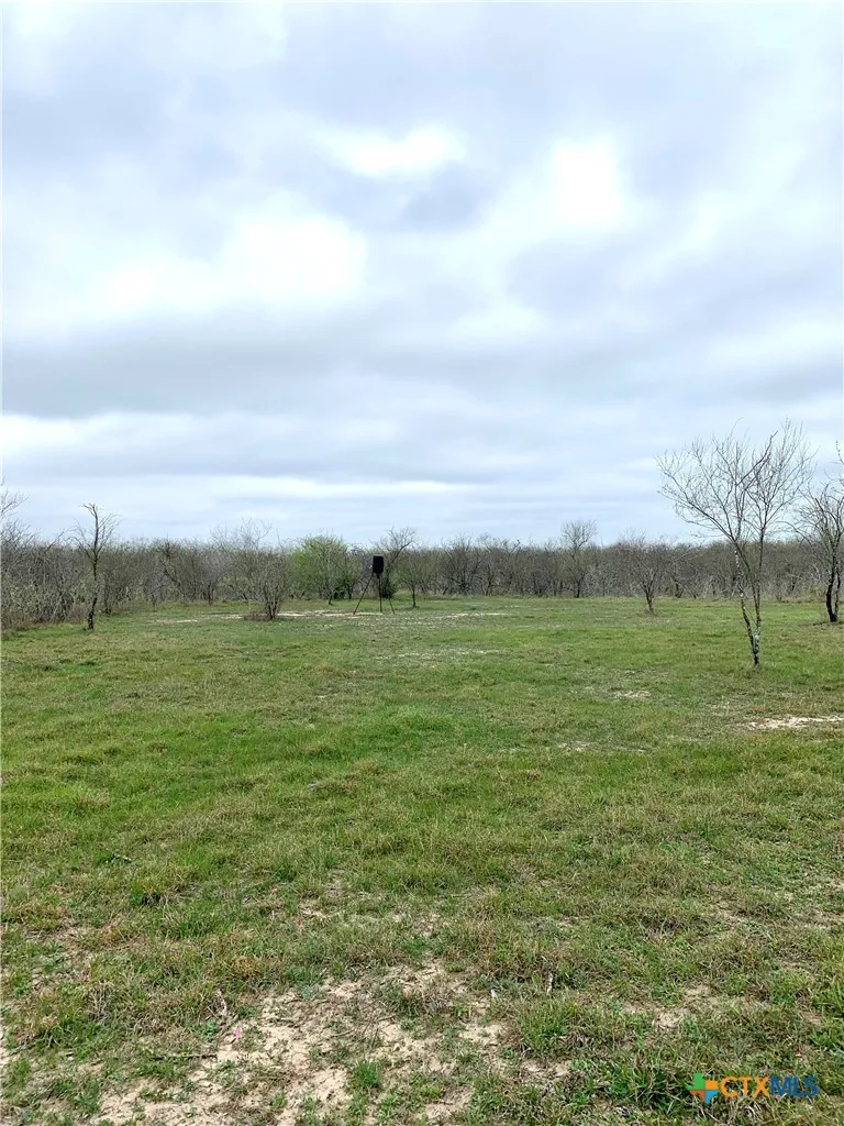 Pierce Road Goliad, TX 77963