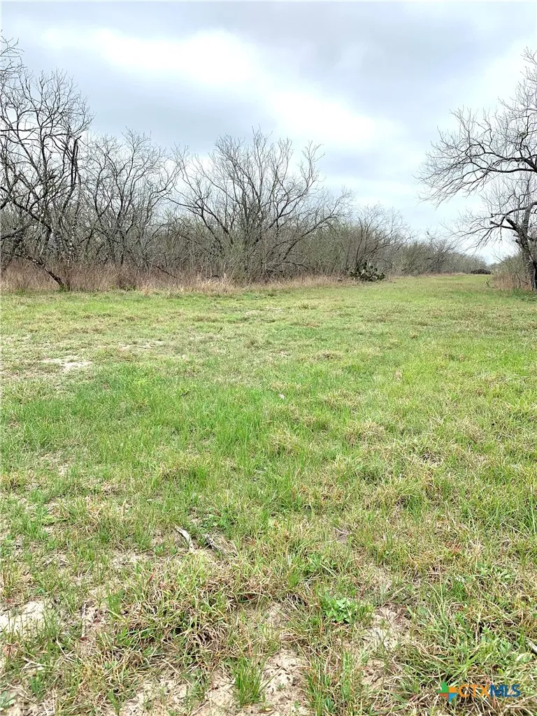 Pierce Road Goliad, TX 77963
