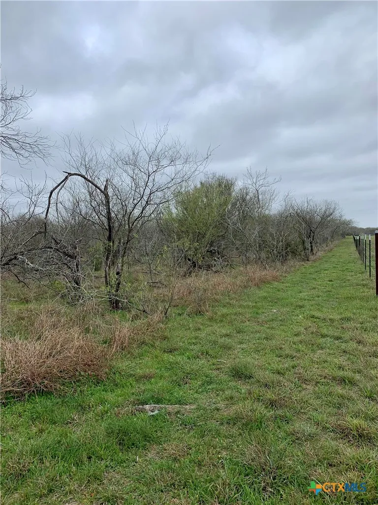 Pierce Road Goliad, TX 77963