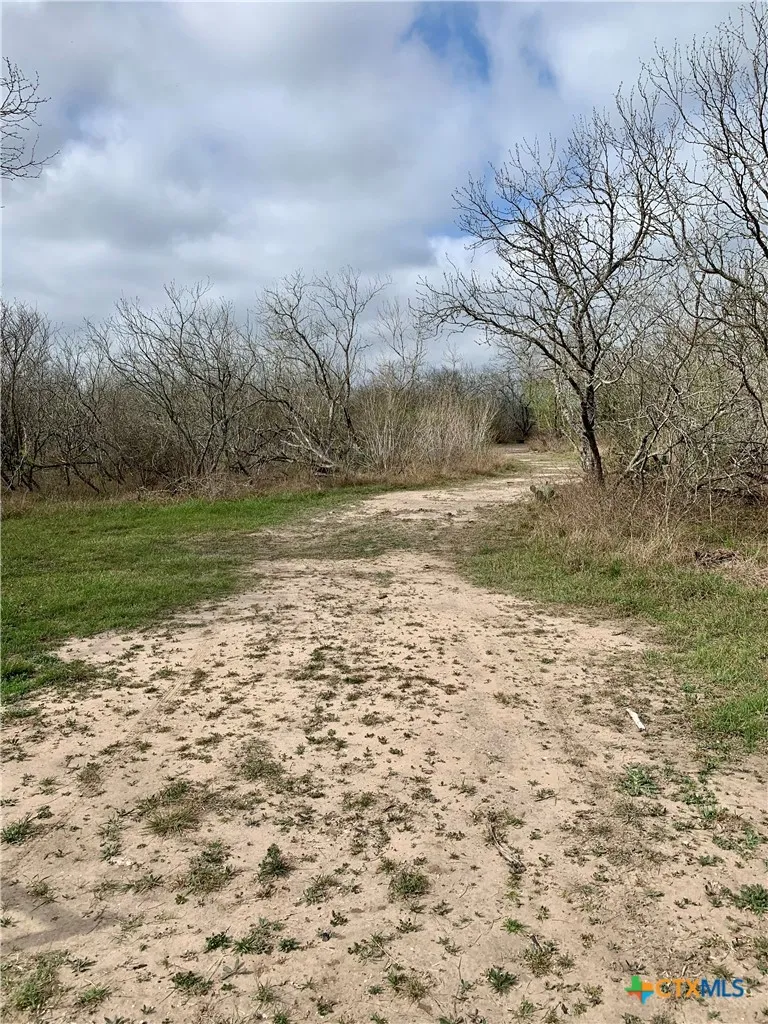 Pierce Road Goliad, TX 77963