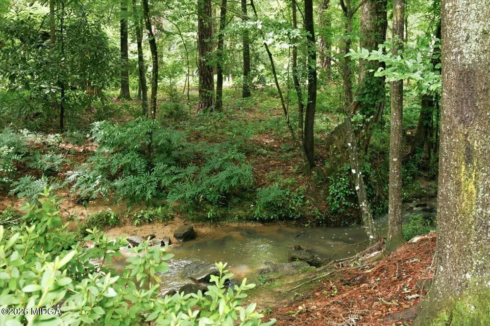 137 Brookstone Way Macon, GA 31210
