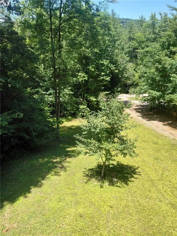 158 Earney Road Blairsville, GA 30512