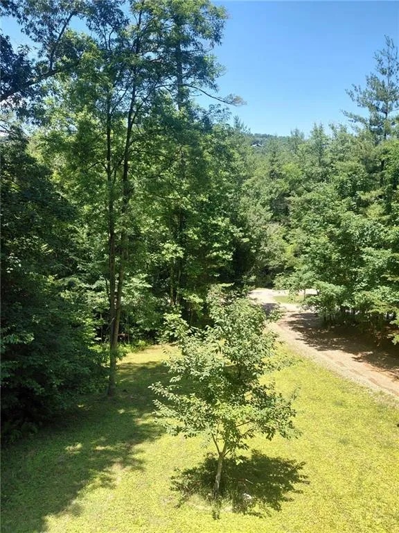 158 Earney Road Blairsville, GA 30512