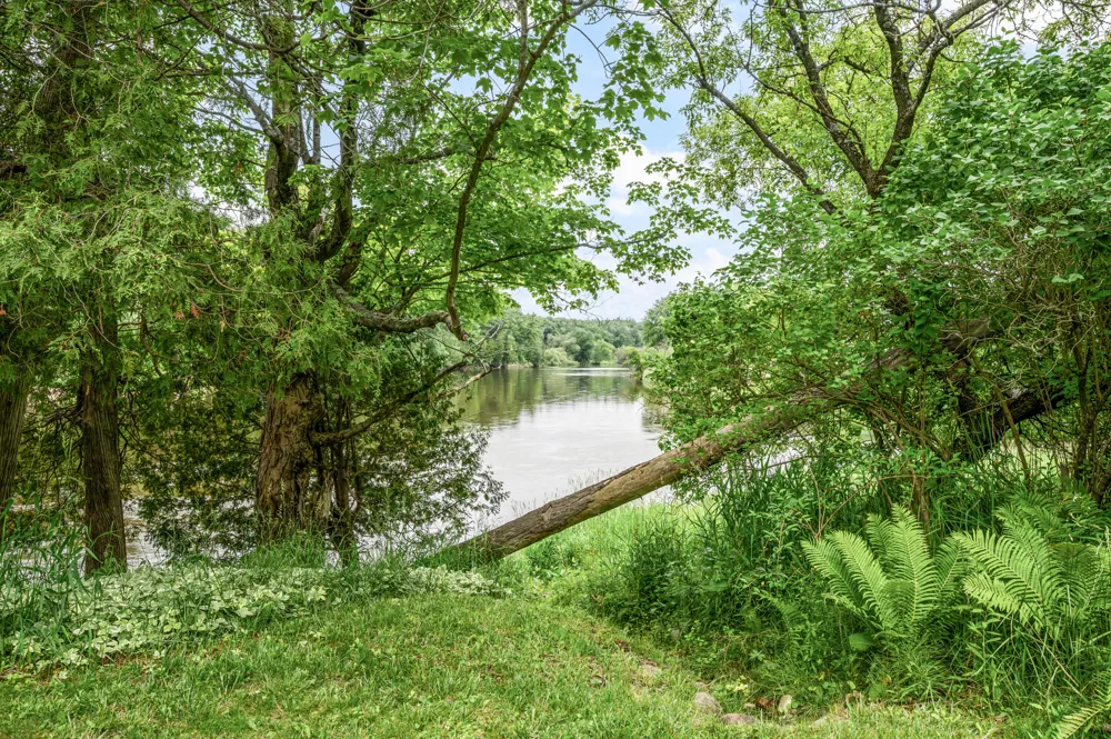 13325 Donna Road Big Rapids Charter Township, MI 49307