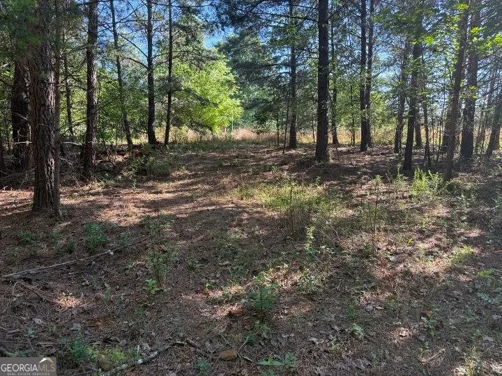 0 Pinetree WAY Dahlonega, GA 30533