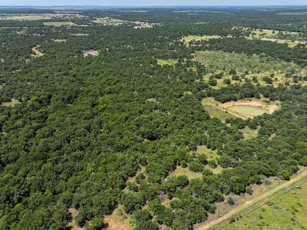18156 Hwy 281 Jacksboro, TX 76458