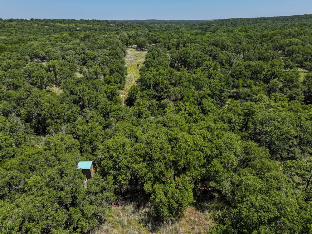 18156 Hwy 281 Jacksboro, TX 76458