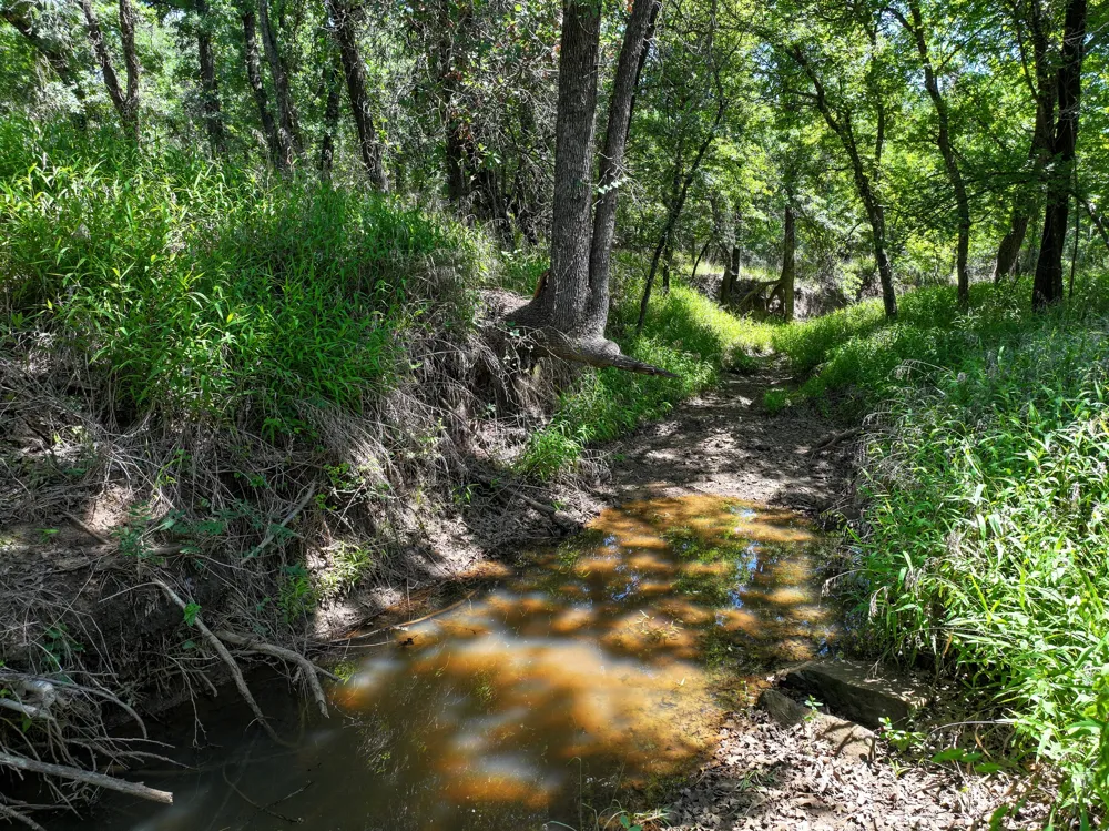 18156 Hwy 281 Jacksboro, TX 76458