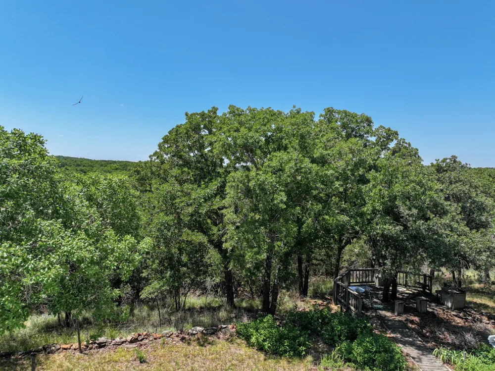 18156 Hwy 281 Jacksboro, TX 76458