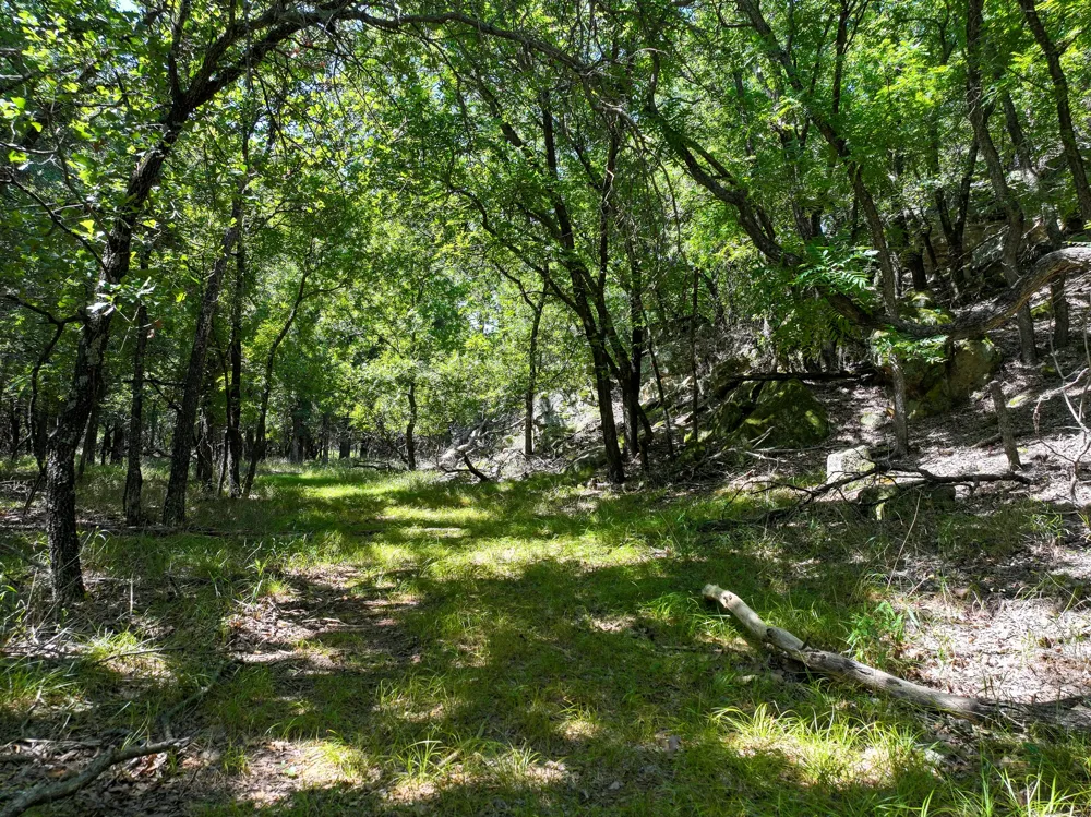 18156 Hwy 281 Jacksboro, TX 76458