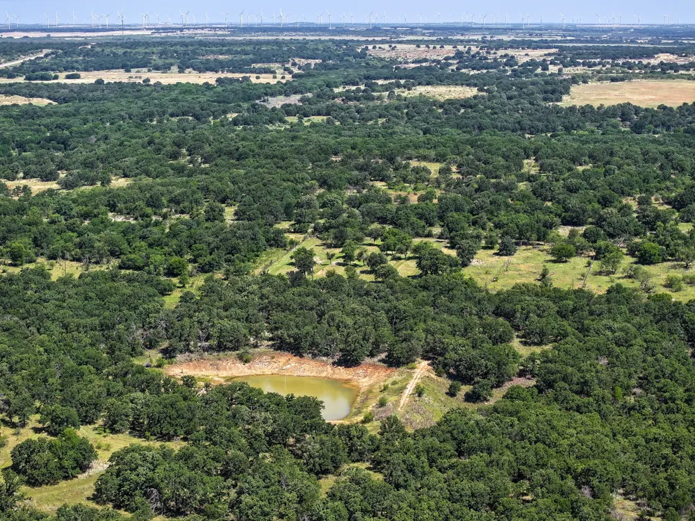 18156 Hwy 281 Jacksboro, TX 76458