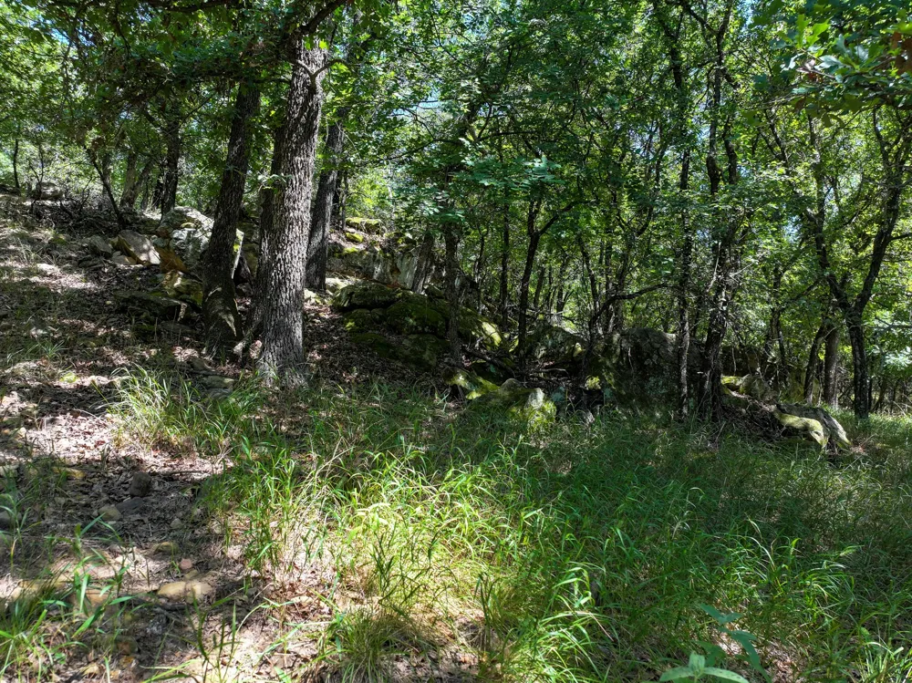 18156 Hwy 281 Jacksboro, TX 76458