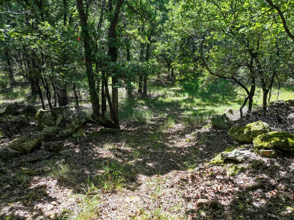 18156 Hwy 281 Jacksboro, TX 76458