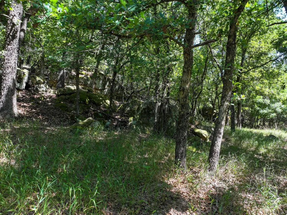 18156 Hwy 281 Jacksboro, TX 76458