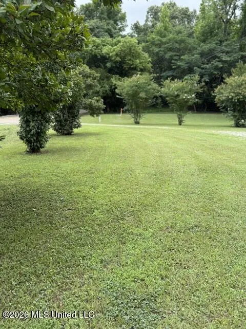 10890 Ms-5 Ashland, MS 38603