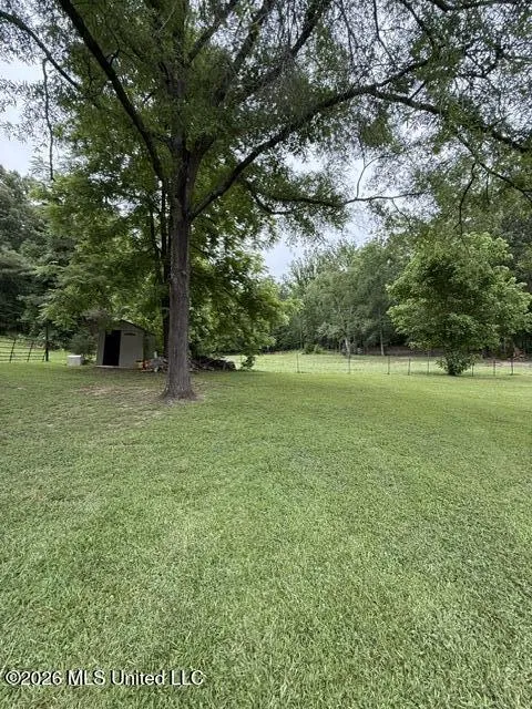 10890 Ms-5 Ashland, MS 38603