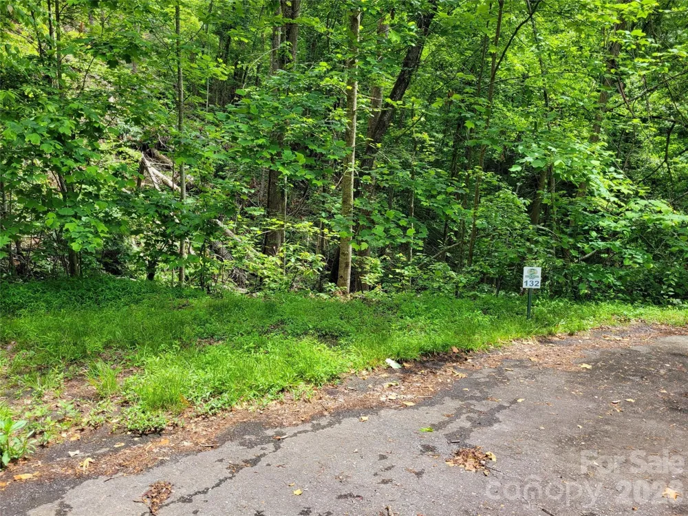 TBD Bear River Lodge Road #123 Marshall, NC 28753