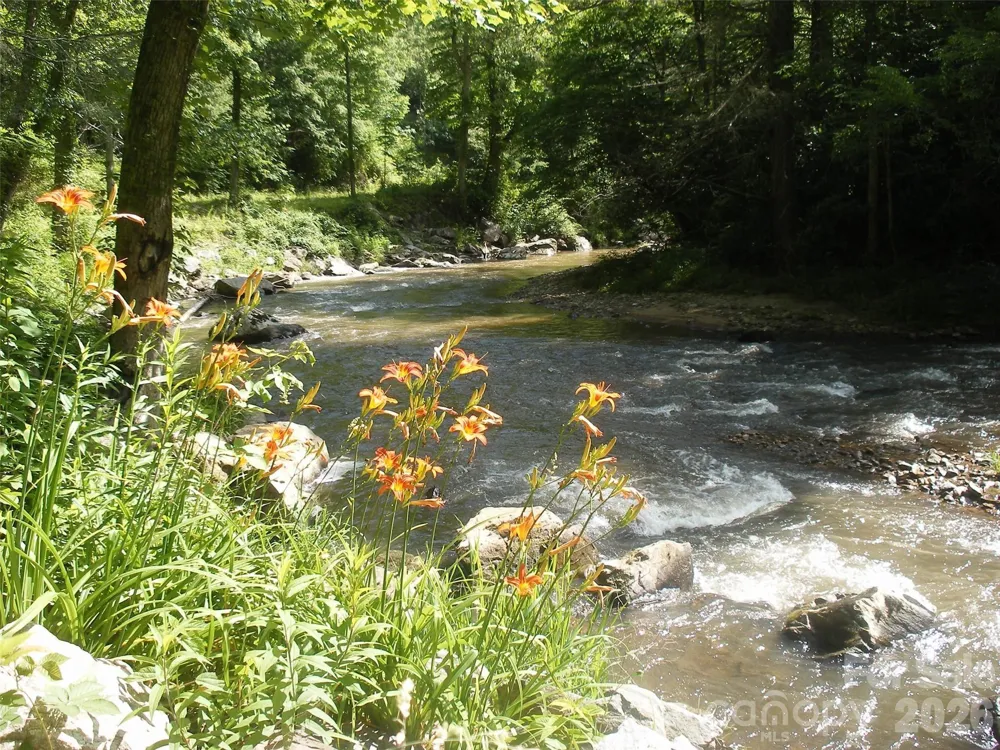 TBD Bear River Lodge Trail #123 &124 Marshall, NC 28753
