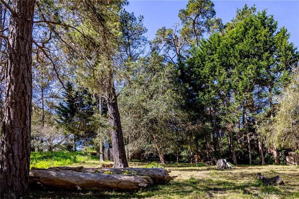Spencer Street Cambria, CA 93428