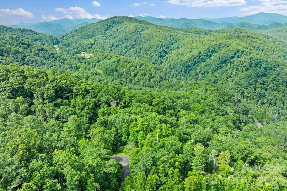 TBD Bear River Lodge Trail #132 Marshall, NC 28753