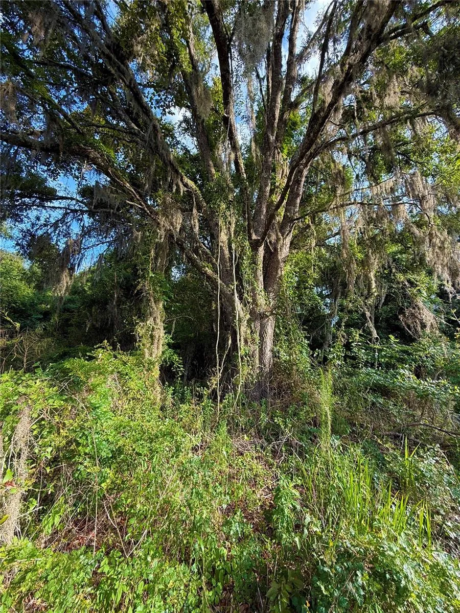 000 NW 68 TERRACE Chiefland, FL 32626