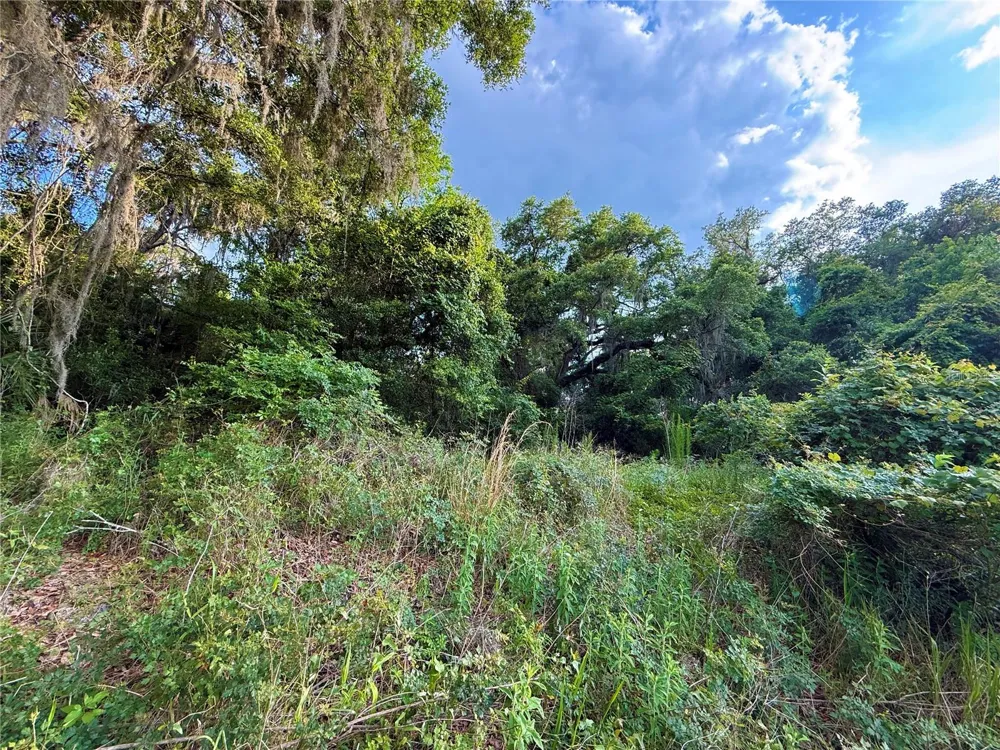 000 NW 68 TERRACE Chiefland, FL 32626