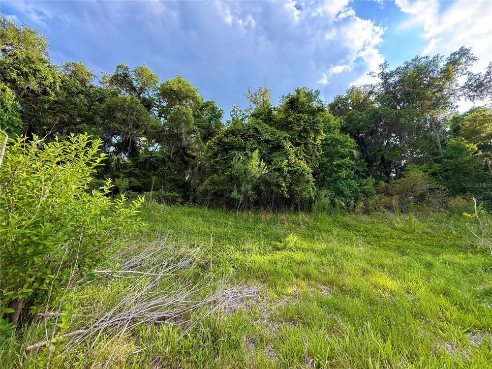 000 NW 68 TERRACE Chiefland, FL 32626
