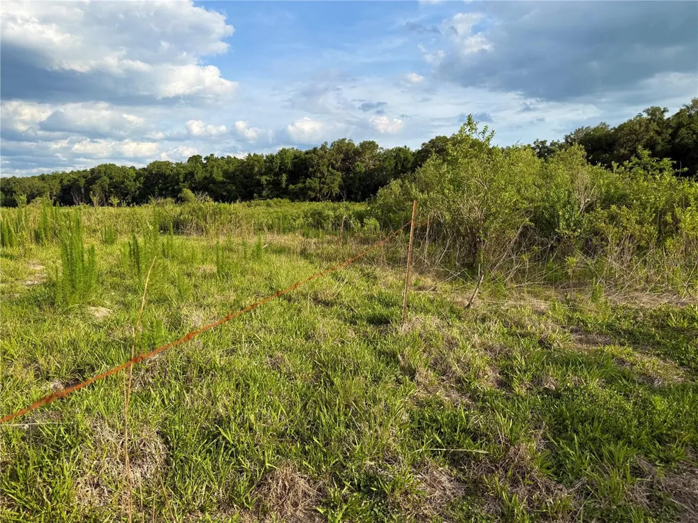 000 NW 68 TERRACE Chiefland, FL 32626