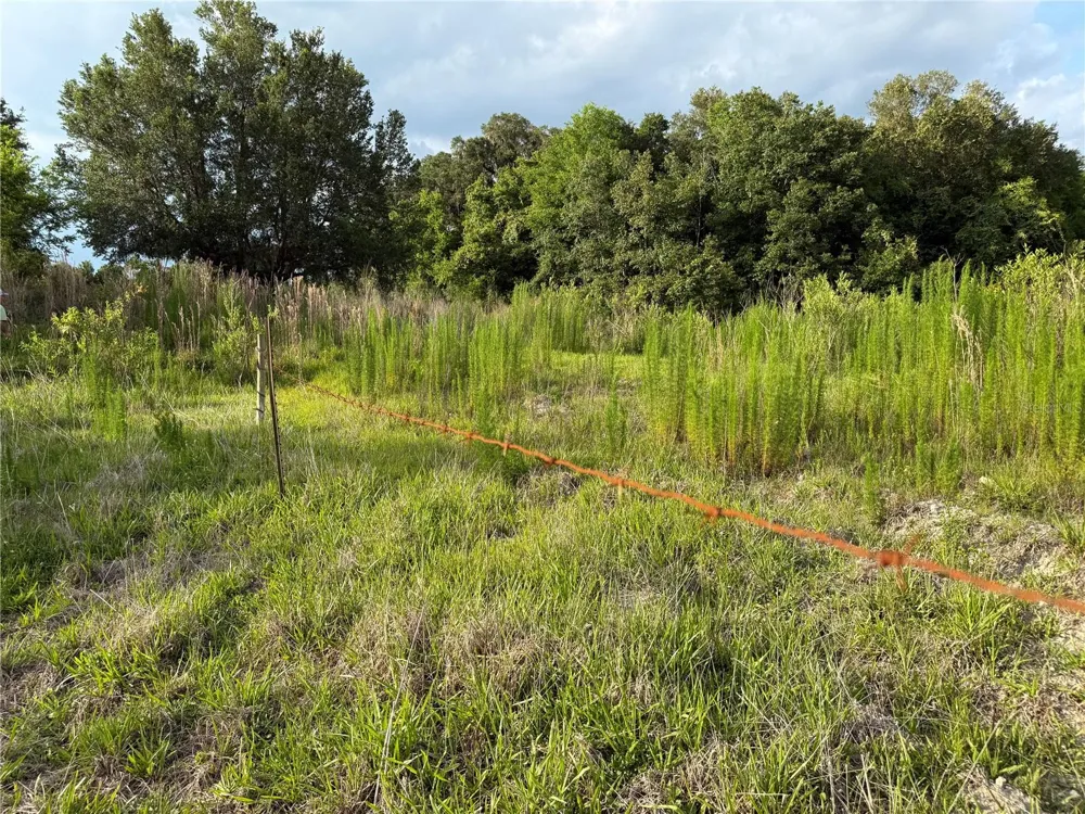 000 NW 68 TERRACE Chiefland, FL 32626