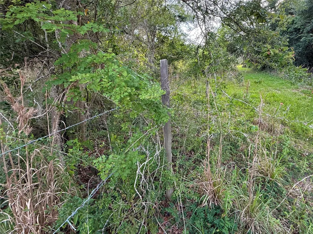 000 NW 68 TERRACE Chiefland, FL 32626