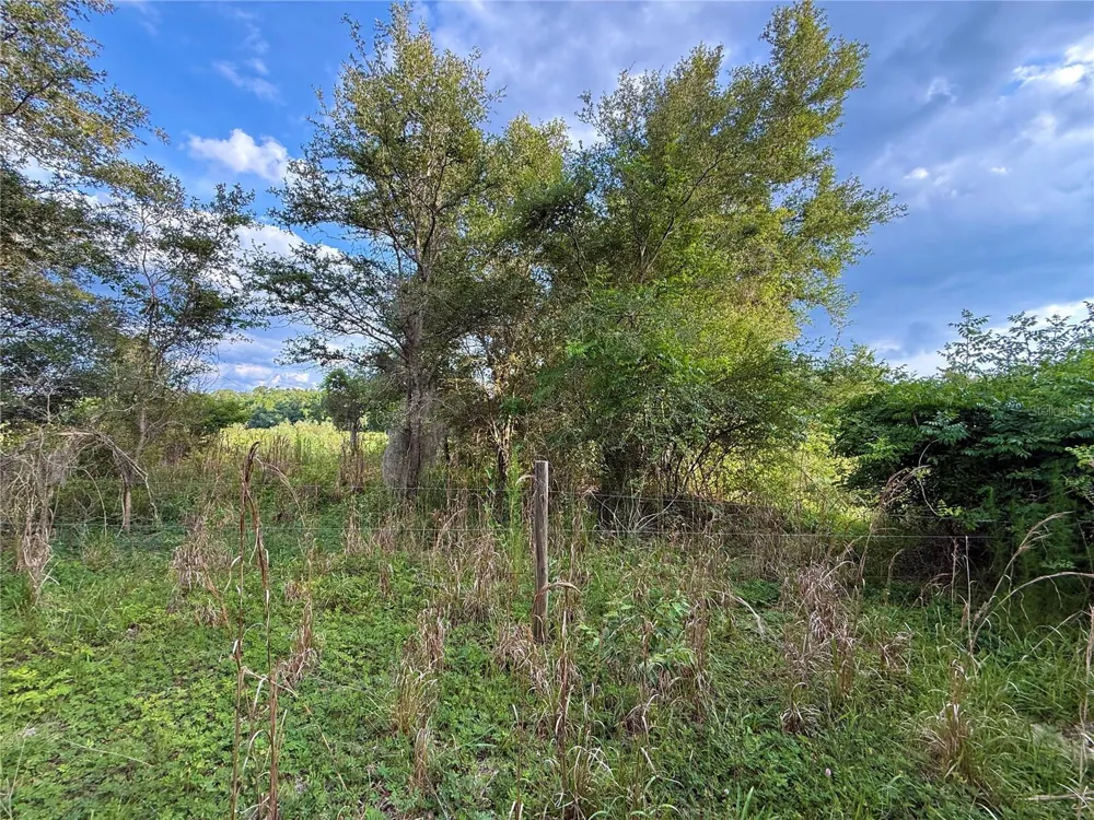 000 NW 68 TERRACE Chiefland, FL 32626