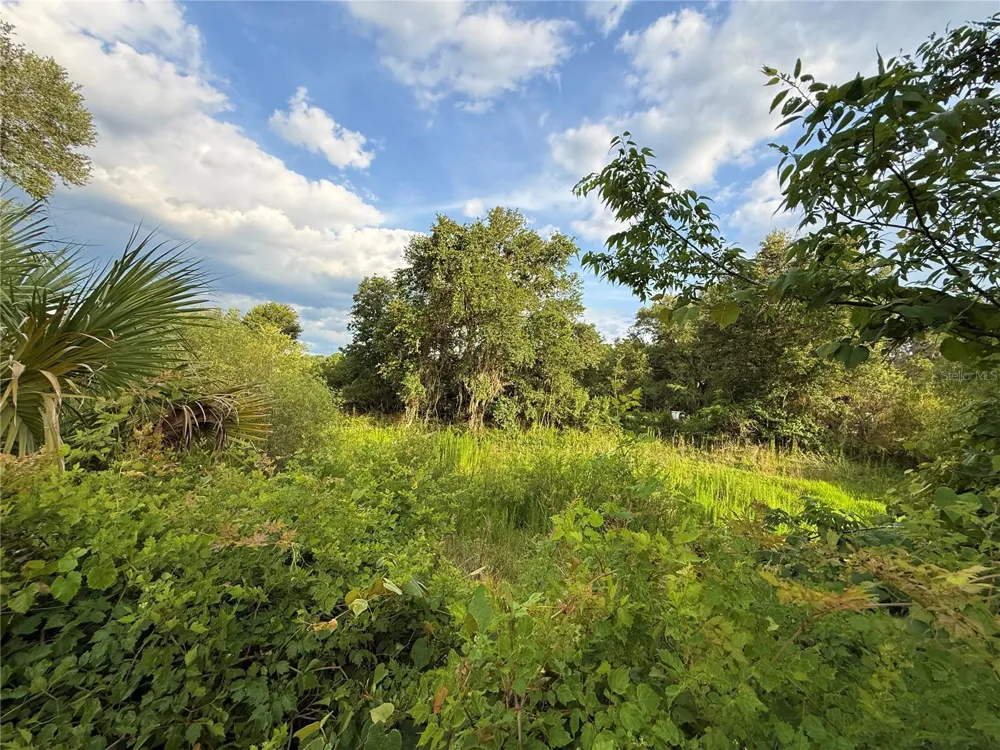 000 NW 68 TERRACE Chiefland, FL 32626