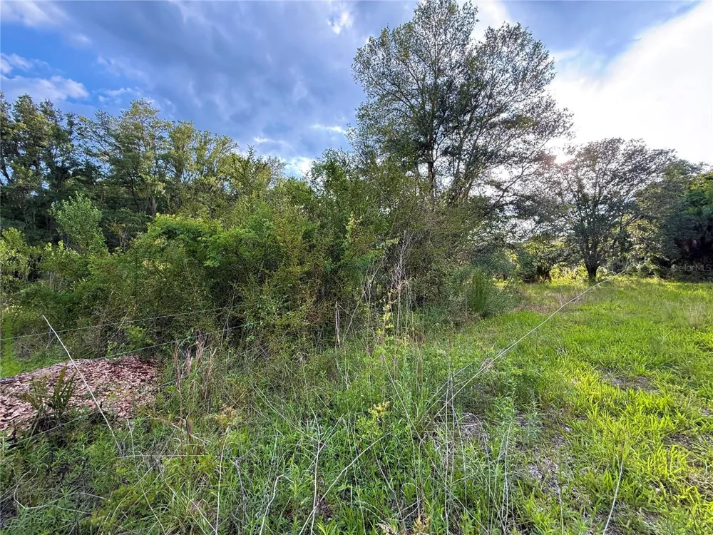 000 NW 68 TERRACE Chiefland, FL 32626