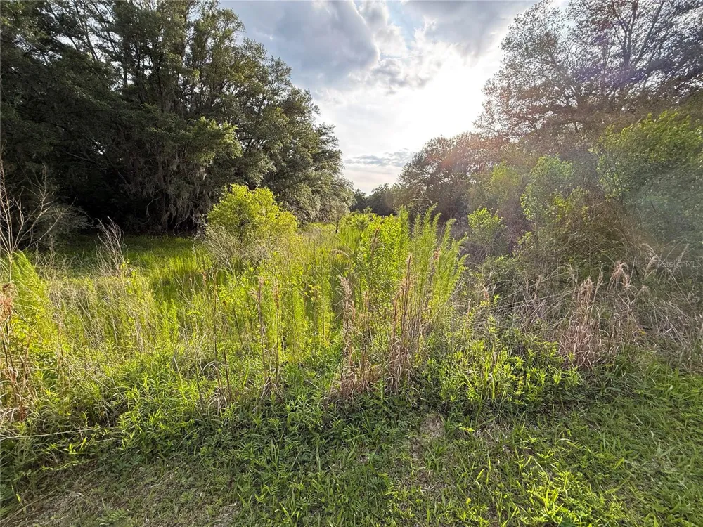 000 NW 68 TERRACE Chiefland, FL 32626