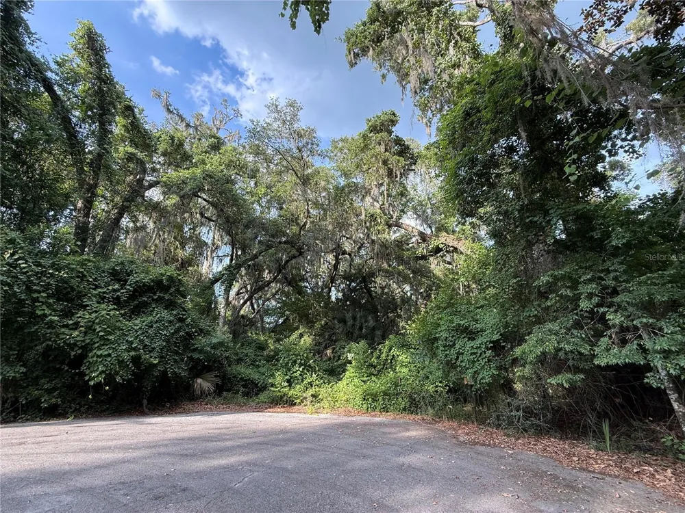 000 NW 68 TERRACE Chiefland, FL 32626