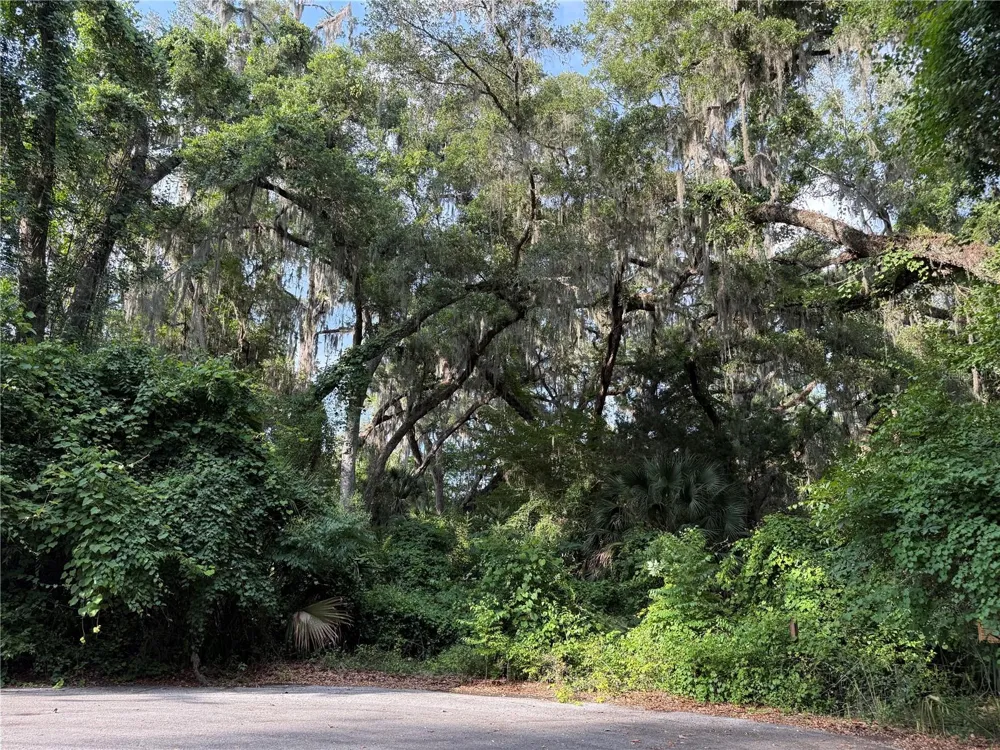 000 NW 68 TERRACE Chiefland, FL 32626