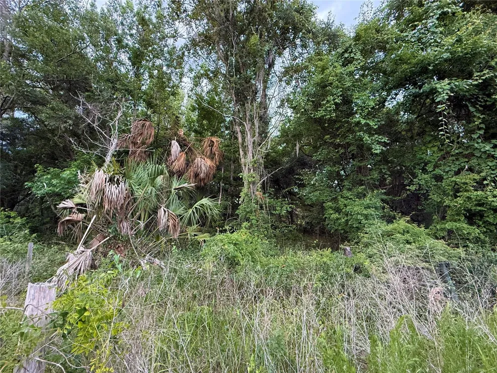 000 NW 68 TERRACE Chiefland, FL 32626