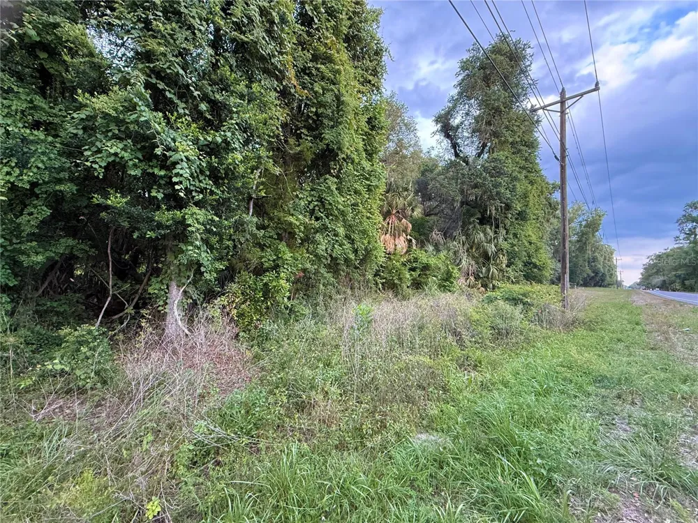 000 NW 68 TERRACE Chiefland, FL 32626