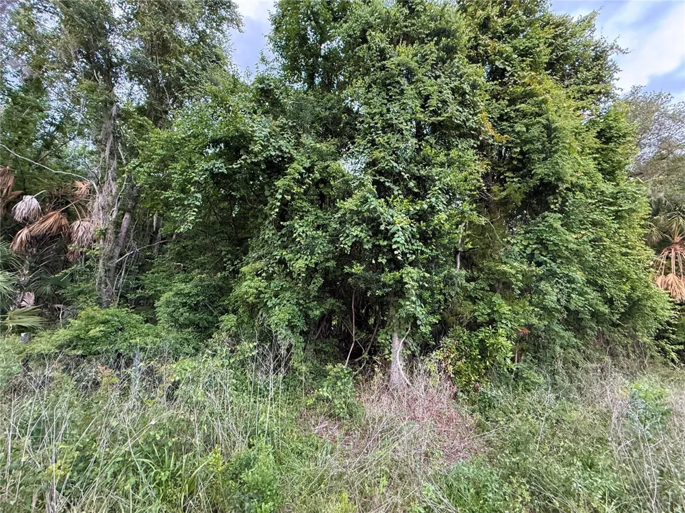 000 NW 68 TERRACE Chiefland, FL 32626