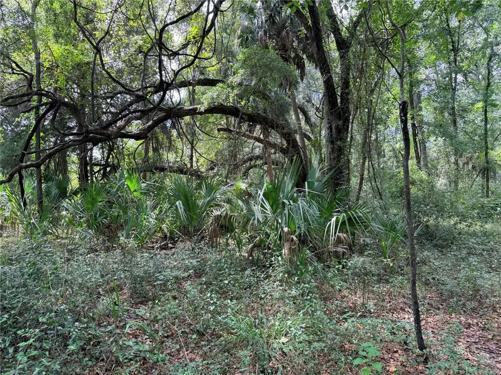 000 NW 68 TERRACE Chiefland, FL 32626