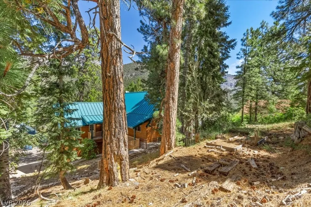 370 Alpine Way Mount Charleston, NV 89124